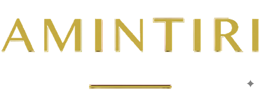 AMINTIRI logo – Creviz custom software client